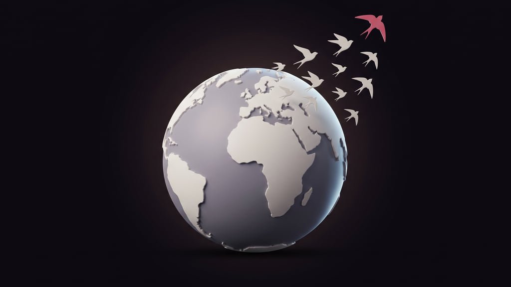 A pale globe with a flock of swallows lifting away from it, one of them picked out in rose — the migration motif from the Starling International identity.